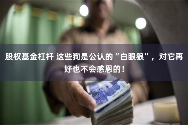 股权基金杠杆 这些狗是公认的“白眼狼”，对它再好也不会感恩的！