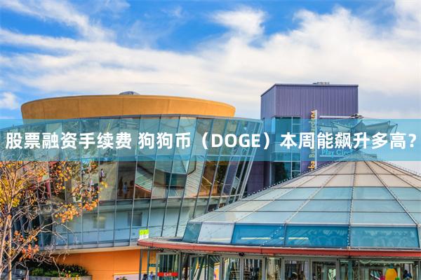 股票融资手续费 狗狗币（DOGE）本周能飙升多高？