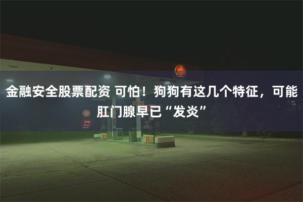 金融安全股票配资 可怕！狗狗有这几个特征，可能肛门腺早已“发炎”