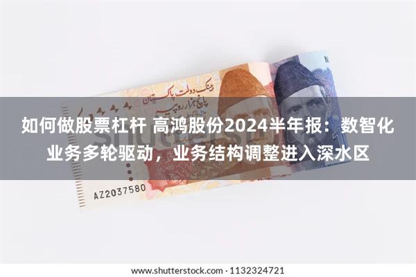 如何做股票杠杆 高鸿股份2024半年报：数智化业务多轮驱动，业务结构调整进入深水区